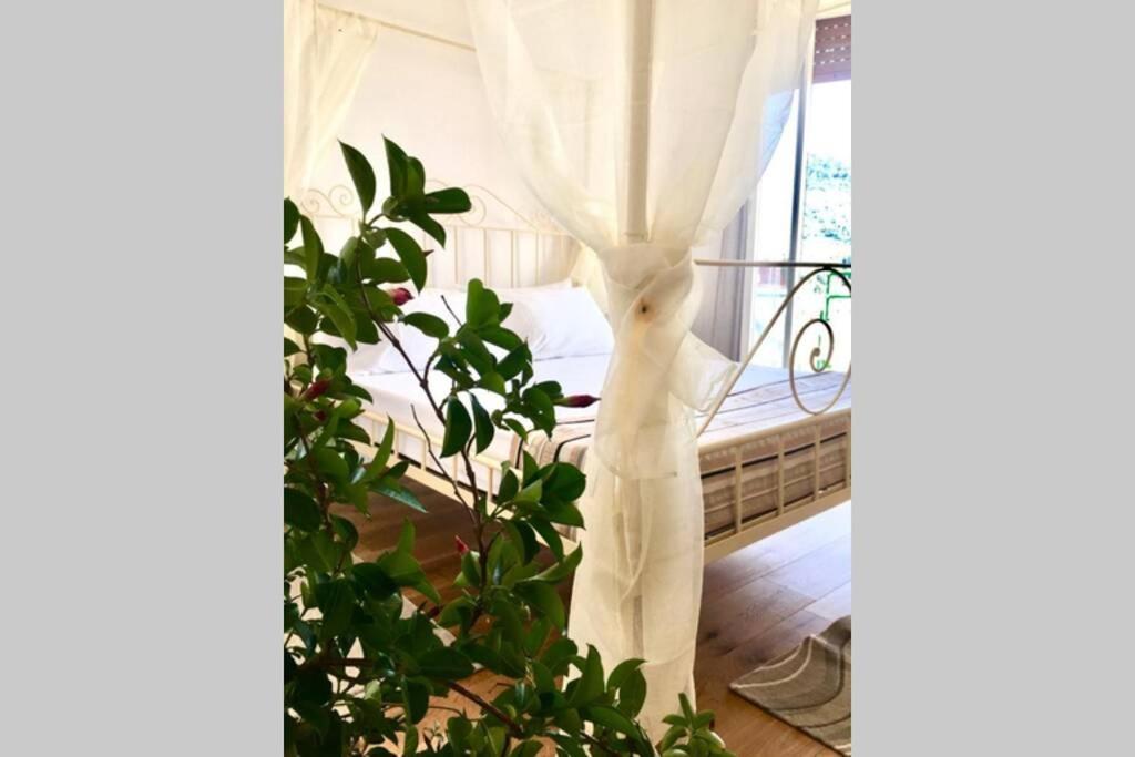 Apartment Splendido Vista Mare
